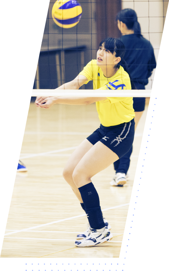 活動写真2